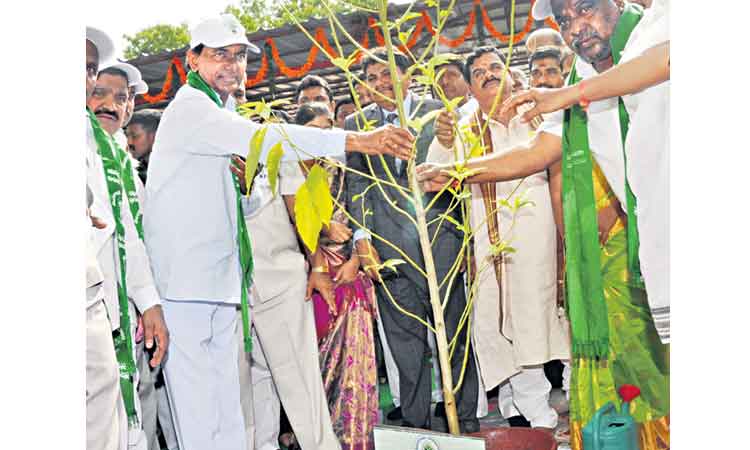 పచ్చదనమే ఉద్యమం