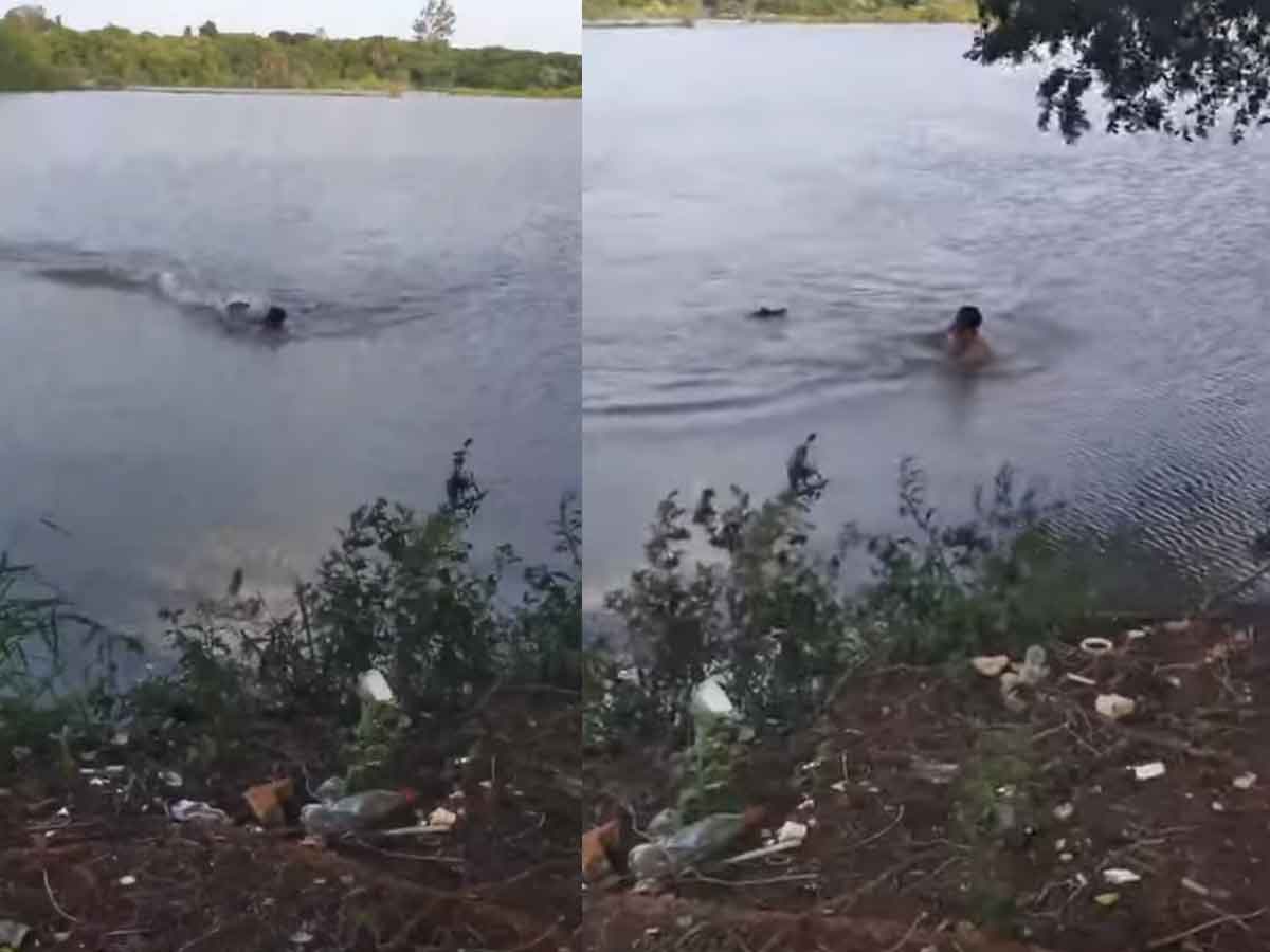 Alligator Attacks Man : ఈత కొడుతున్న వ్య‌క్తిపై మొస‌లి దాడి.. ఆ త‌ర్వాత ఏం జ‌రిగిందో తెలుసా?