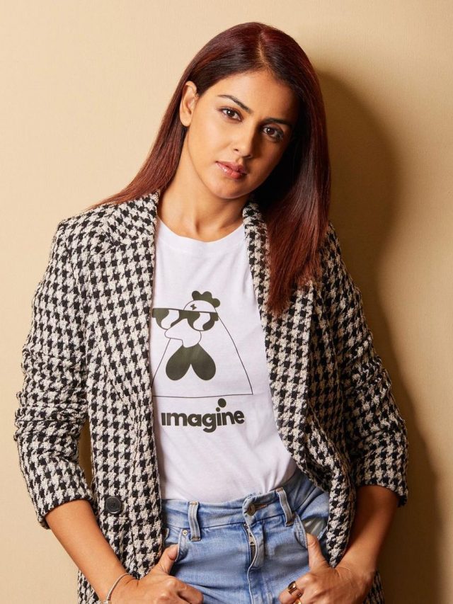 కొత్త హీరోతో జెనీలియా రీ ఎంట్రీ