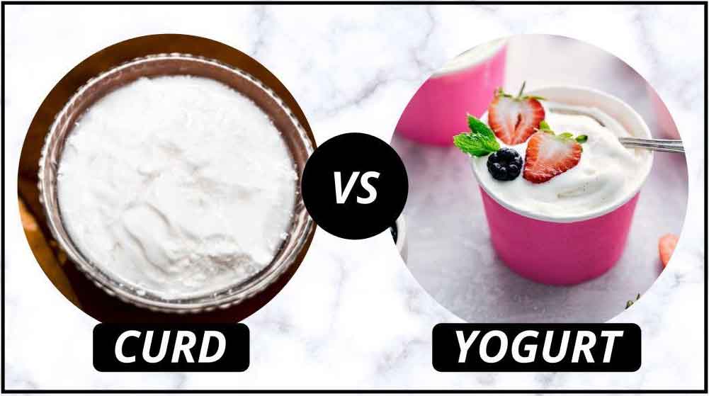 Curd Vs Yogurt : పెరుగు, యోగర్ట్.. ఇదీ తేడా!