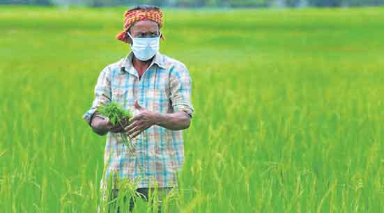 కౌలు రైతులతో సంబంధం లేదు