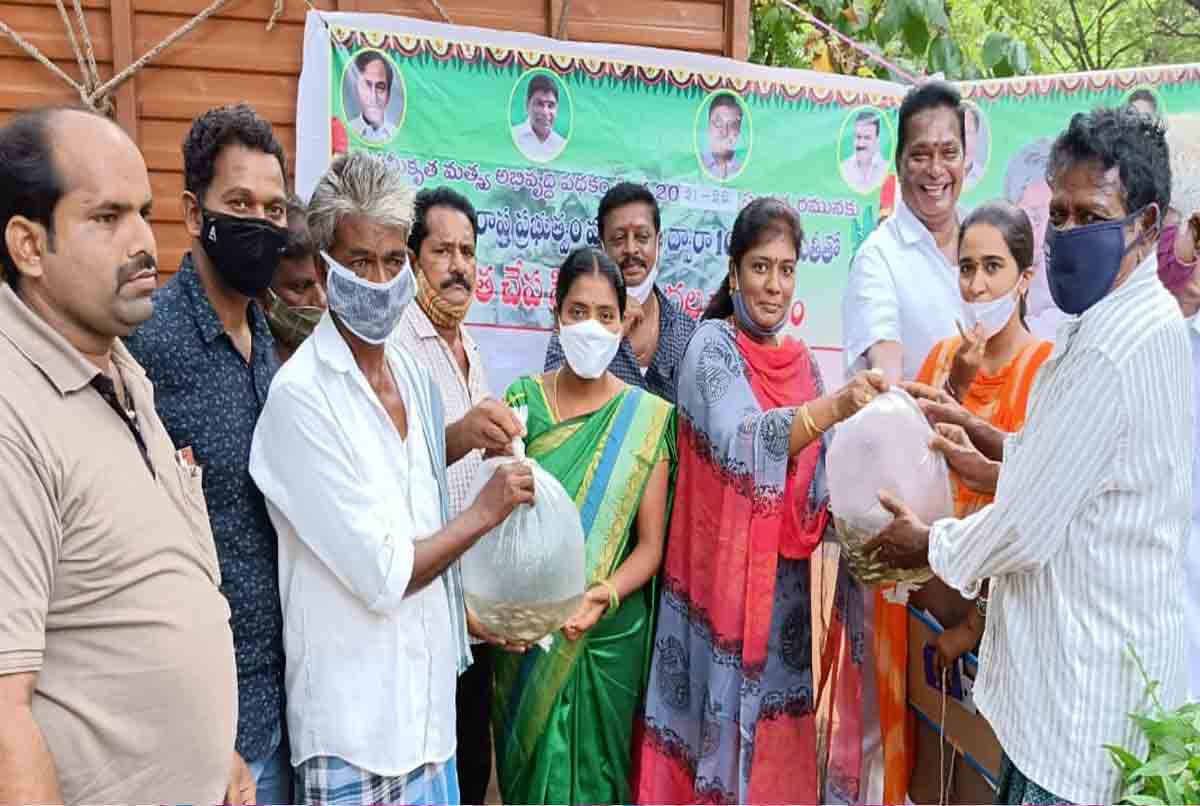Yerrupalem | మత్స్యశాఖ ఆధ్వర్యంలో ఉచిత చేపపిల్లలు పంపిణీ..