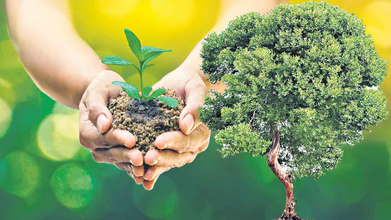 పచ్చలహారం..