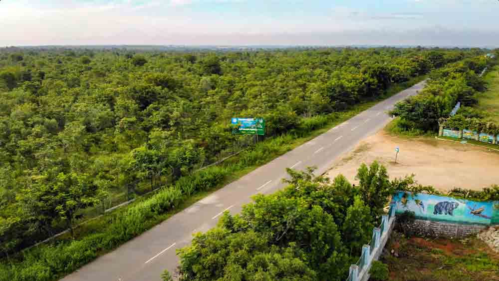 హరితనిధి.. భవితకు పెన్నిధి