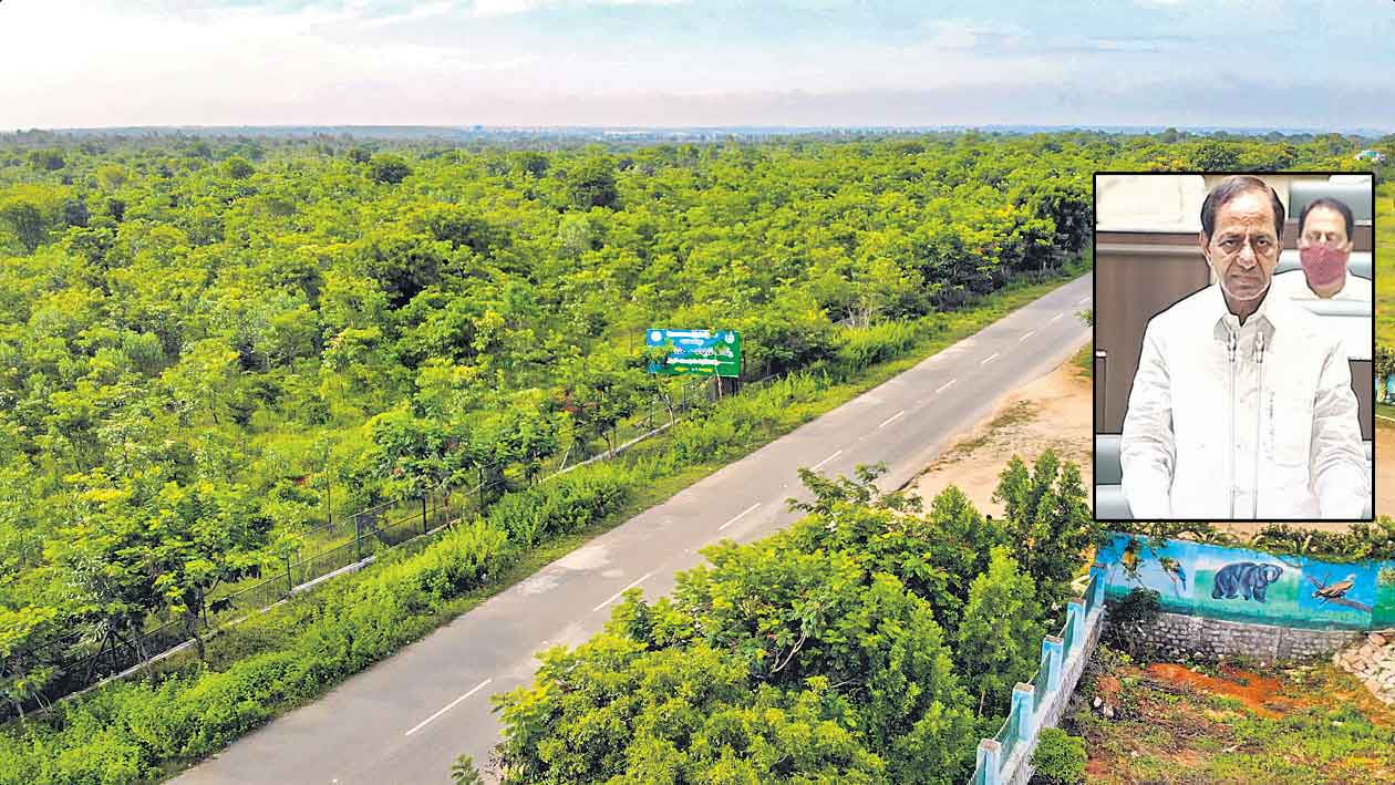 పర్యావరణం కోసం మహత్తర యత్నం.. తెలంగాణ హరిత నిధి