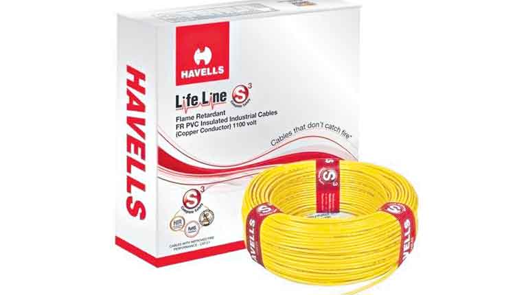 హావెల్స్‌ 300% డివిడెండ్‌