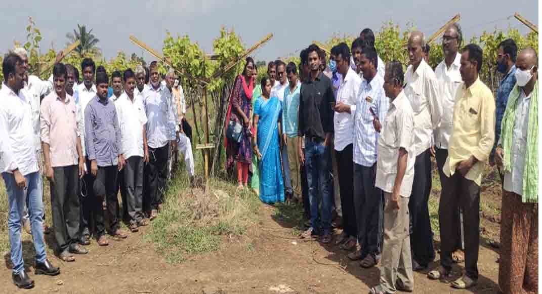 Horticulture | ఉద్యానశాఖ ఆధ్వర్యంలో జిల్లా రైతుల నాసిక్ టూర్..