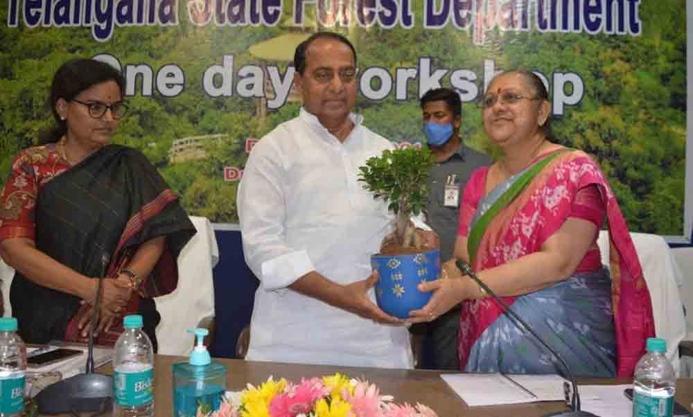 హరిత సైన్యం కోసం 4 కోట్లతో నిధి