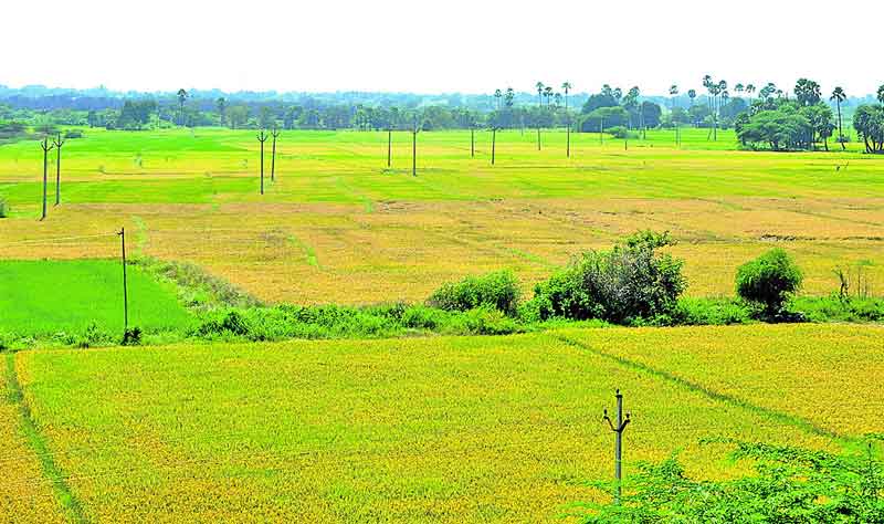 కొనుగోళ్లకు సమాయత్తం