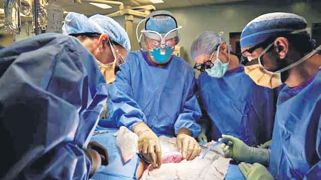 మనిషికి పంది కిడ్నీ.. ప్రపంచంలోనే ఇది తొలిసారి