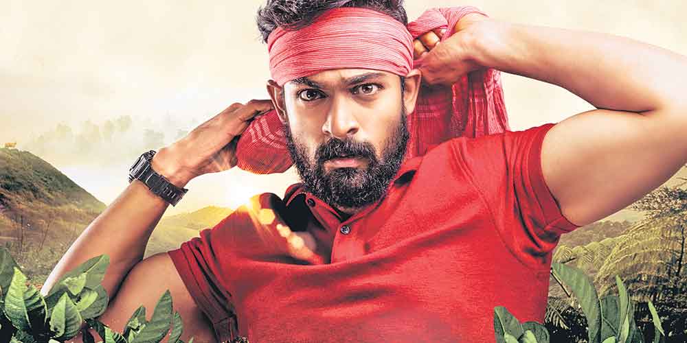 అడవిలో బతుకు వేట