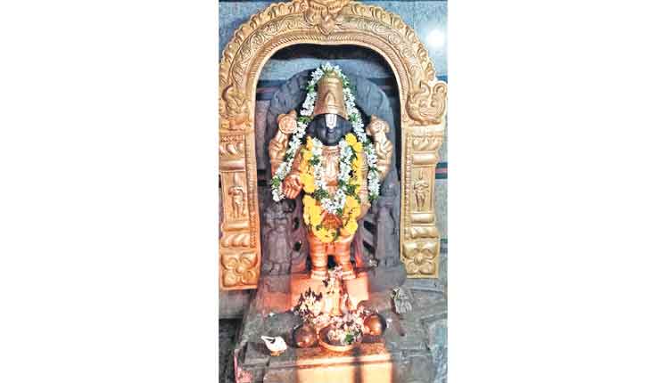 వేంకట్వేరుడిని తాకిన సూర్యకిరణాలు