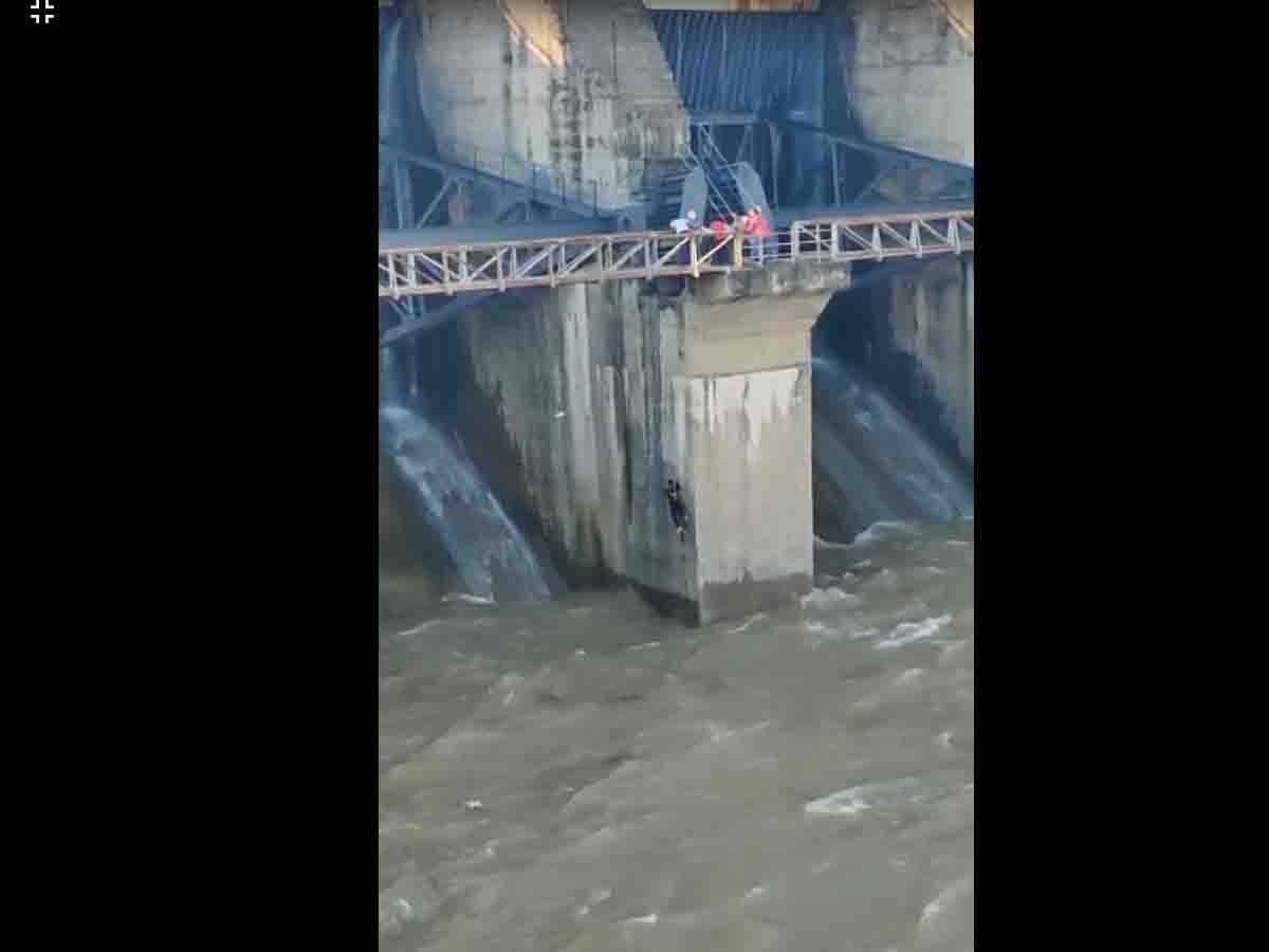 Manjeera | సెల్ఫీ తీసుకునేందుకు వెళ్లి మంజీరా న‌దిలో ప‌డ్డ త‌మ్ముడు.. కాపాడేందుకు దిగి కొట్టుకుపోయిన అన్న‌..