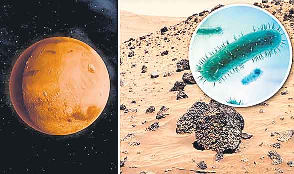 Mars | అంగారకుడిపై బ్యాక్టీరియా పెంపకం!
