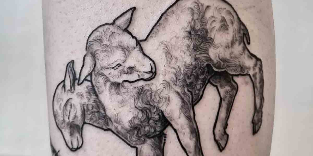 నిజామాబాద్ జిల్లాలో రెండు తలల గొర్రె పిల్ల జననం