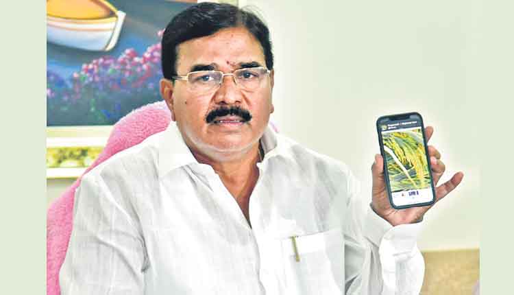 కొంగ జపం..దొంగ దీక్ష..