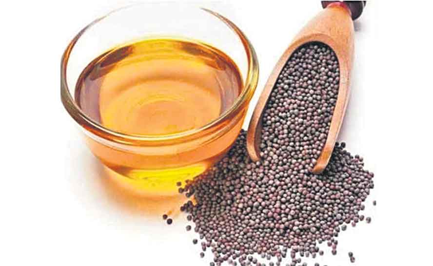 ఆవ నూనె నుంచి జెట్‌ ఇంధనం