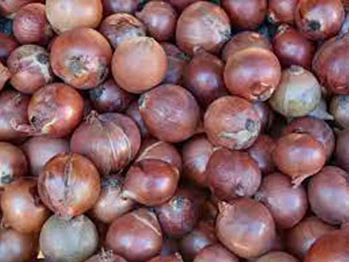 అగ్రరాజ్యాన్ని వ‌ణికిస్తున్న సాల్మోనెల్లా.. ఉల్లిగడ్డ అంటేనే భయపడుతున్న అమెరికన్లు