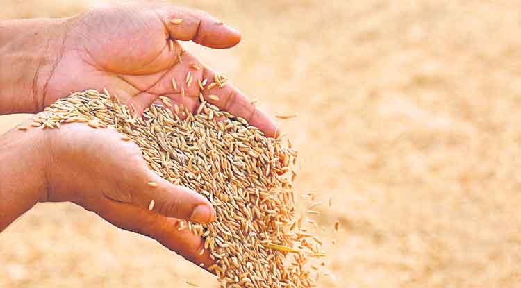 వడ్లు కొనొద్దని కేంద్రం అనలేదా? బండి తొండి మాటలు