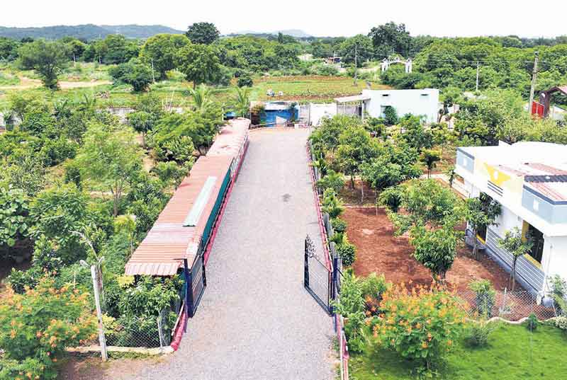 పచ్చదనమే..ఆరోప్రాణమై..