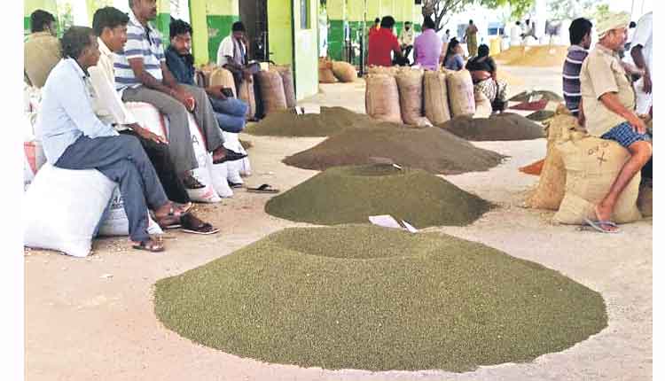 పెసర్లు క్వింటాల్‌ @ 7,859