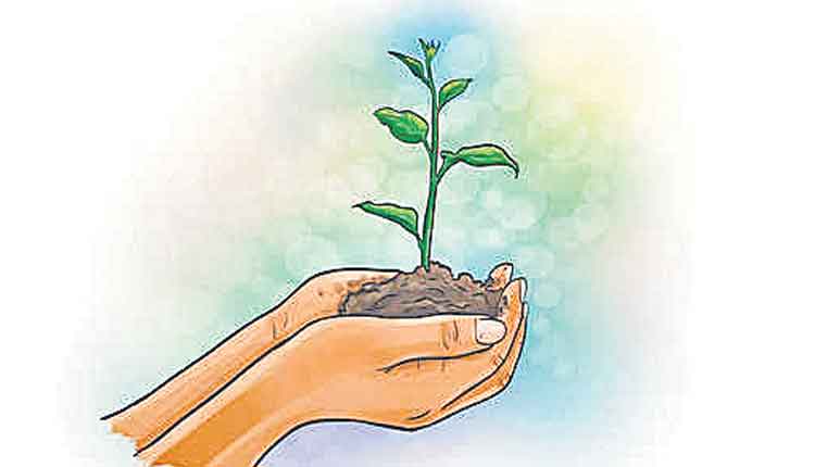 తథాస్థు.. వృక్షాభివృద్ధిరస్థూ..