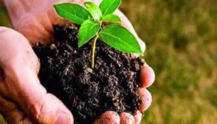 పచ్చదనానికి కదిలిన పెన్షనర్లు