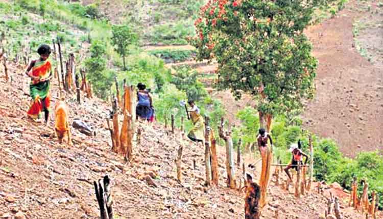 త్వరలో పోడు సమస్యకు పరిష్కారం.. ఆర్వోఎఫ్‌ఆర్‌ పథకం అంటే..