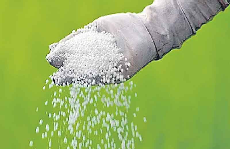 ‘మొలాసిస్ పొటాష్’కూ రాయితీ