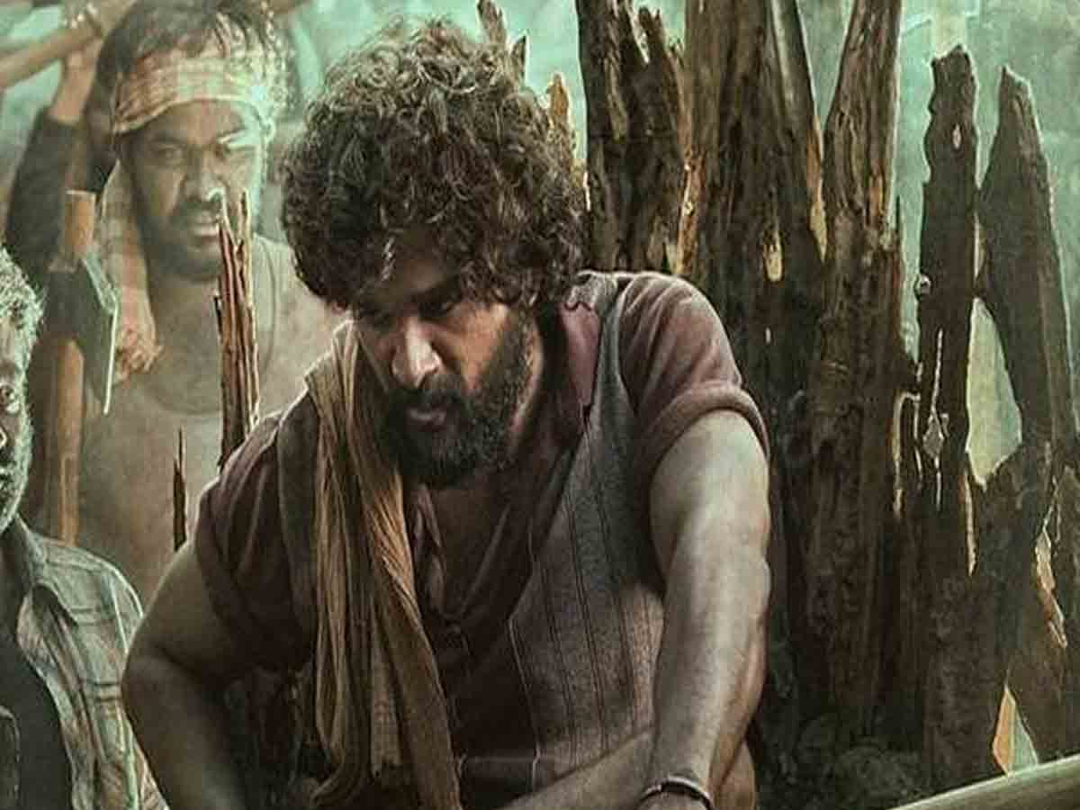 Pushpa: పుష్ప మ‌ళ్లీ వాయిదా.. అభిమానుల్లో పెరుగుతున్న నిరాశ‌!