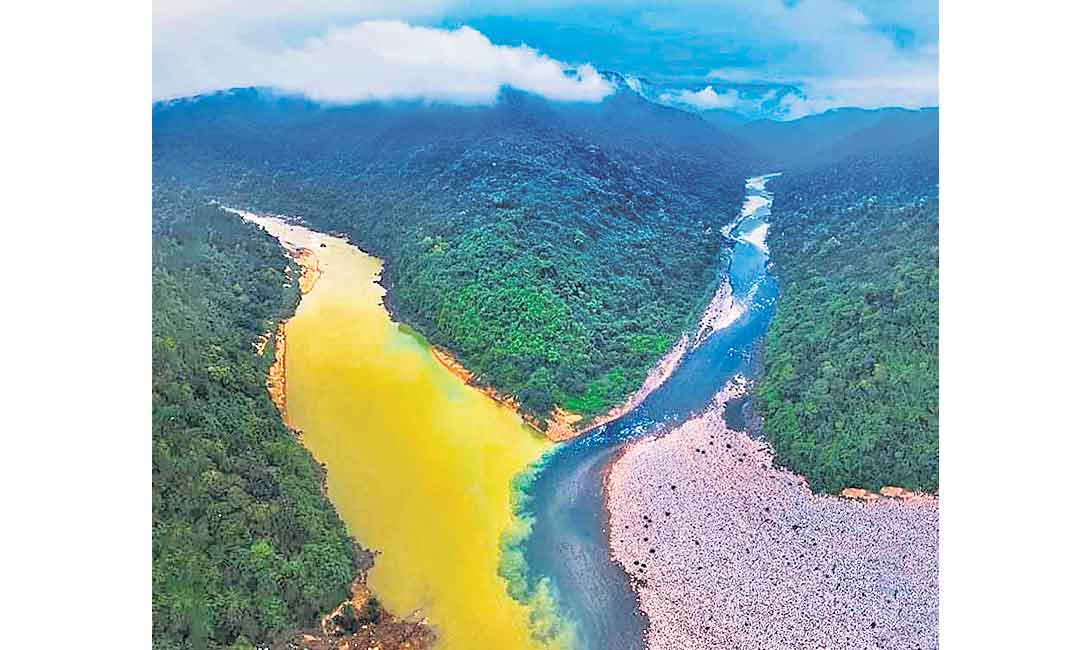 నల్లగా మారిపోయిన నది