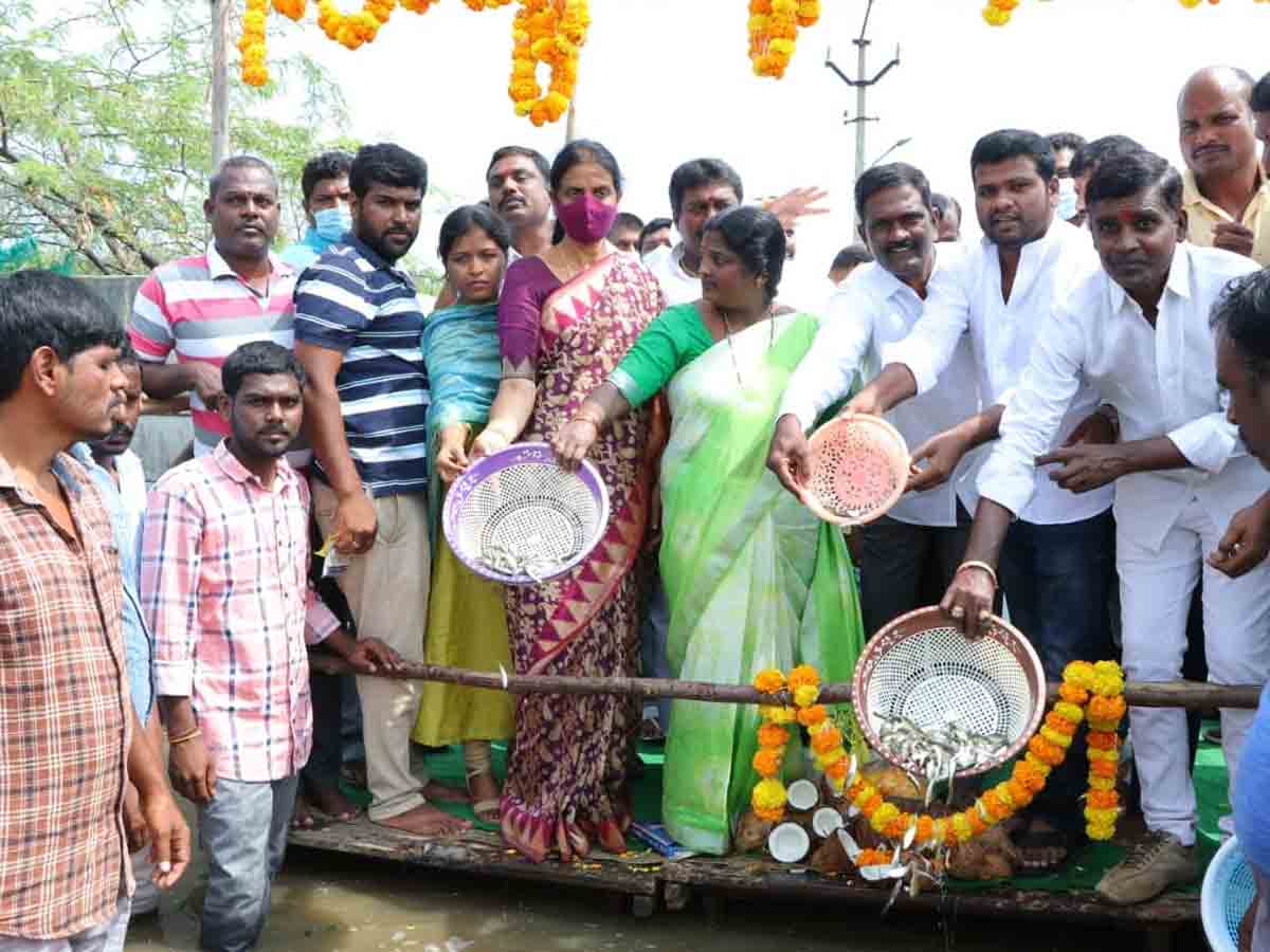 30 వేల చెరువుల్లో 93 కోట్ల చేప పిల్లలు : మంత్రి సబితా ఇంద్రారెడ్డి
