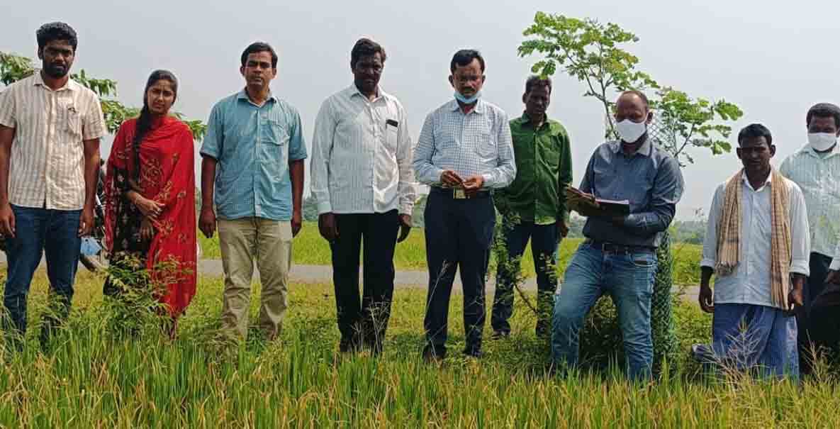 Sathupally | రైతులు ఇష్టారాజ్యంగా పొలాలకు పురుగు మందులు వాడొద్దు..