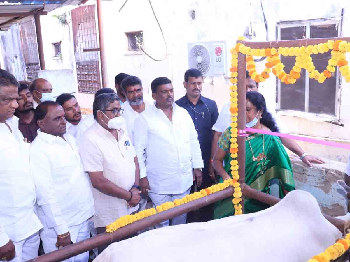 తెలంగాణలో పశు సంరక్షణకు ప్రాధాన్యత : ఎమ్మెల్యే గూడెం