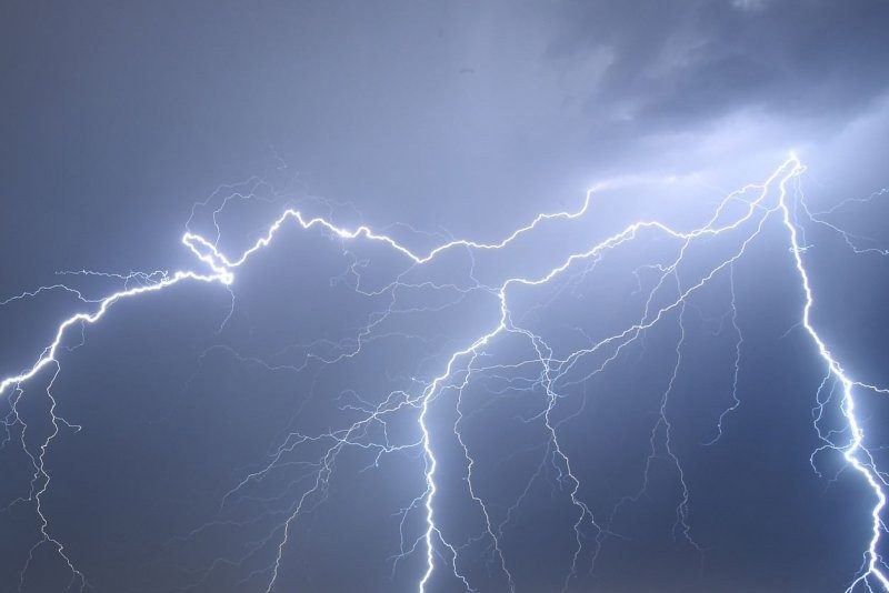 Makthal: పిడుగుపాటు.. 73 గొర్రెలు మృతి