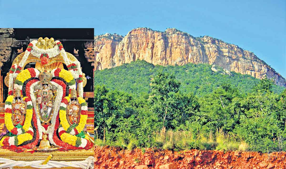 Victory of Lord Venkateshwara swamy : వేంకటేశ్వర విజయం