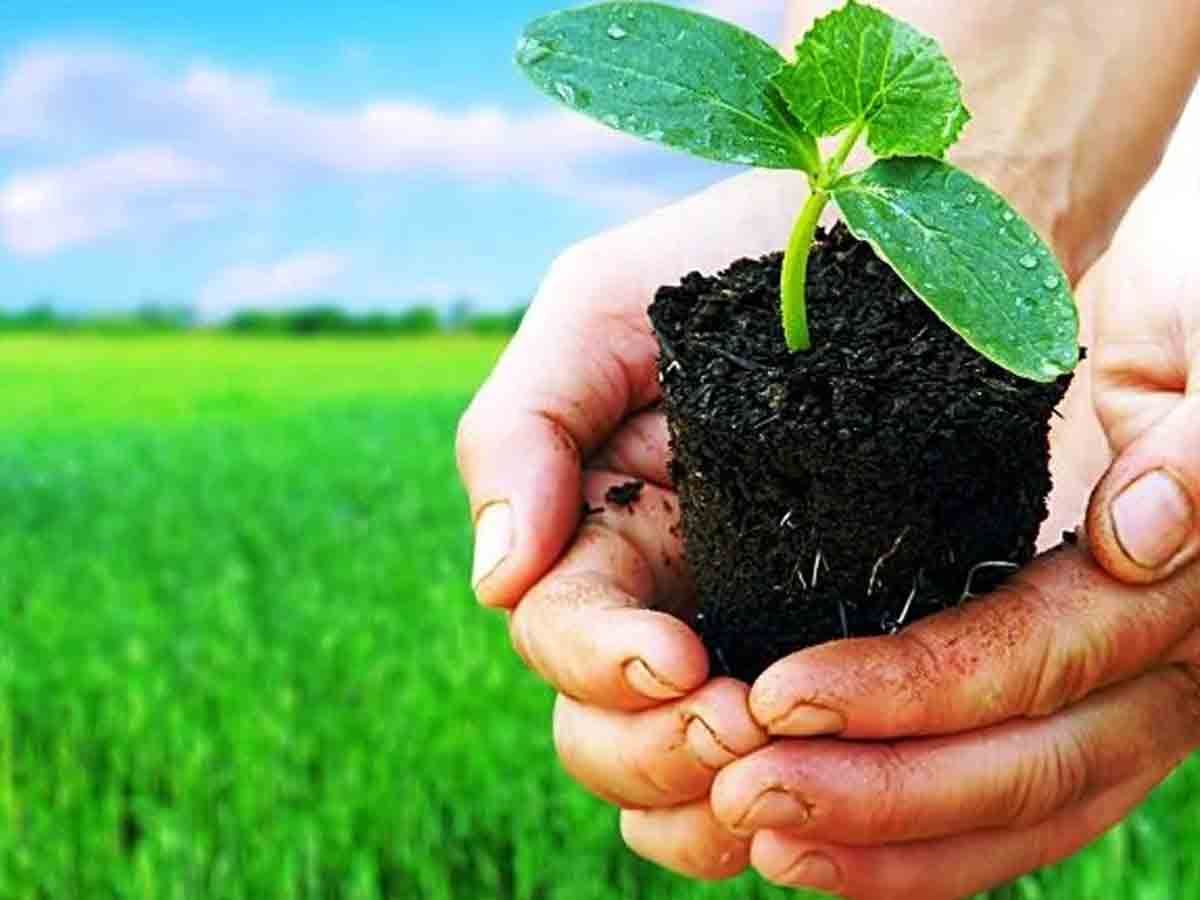 Tirupati | 30, 31 తేదీల్లో తిరుపతిలో ప్రకృతి వ్యవసాయంపై సదస్సు