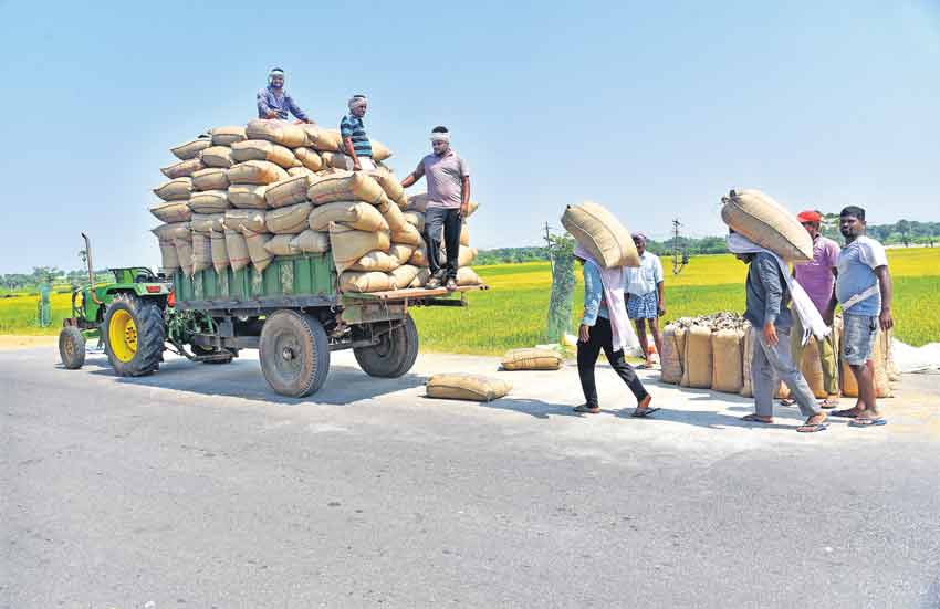 ప్రతి గింజా కొనుగోలు