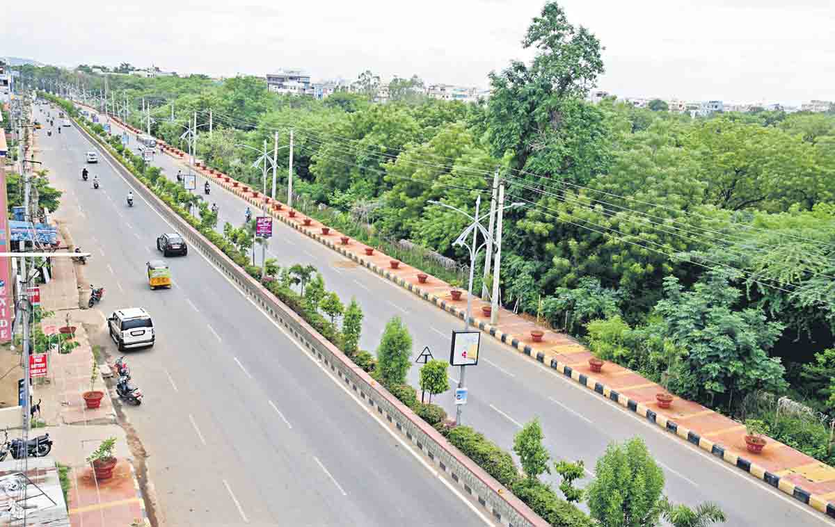 ఆకుపచ్చని పట్టణం