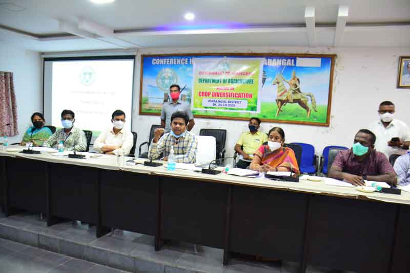 ప్రత్యామ్నాయ పంటలపై దృష్టి పెట్టాలి