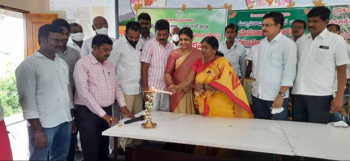 ఆరుతడి వైపు అడుగులు