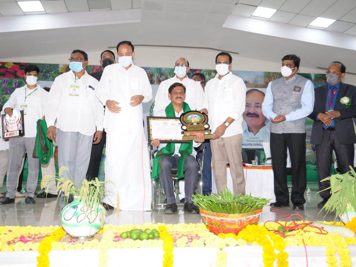 Rythu nestham |వ్యవసాయ యూనివర్సిటీ పీఆర్‌ఓకు రైతునేస్తం అవార్డు