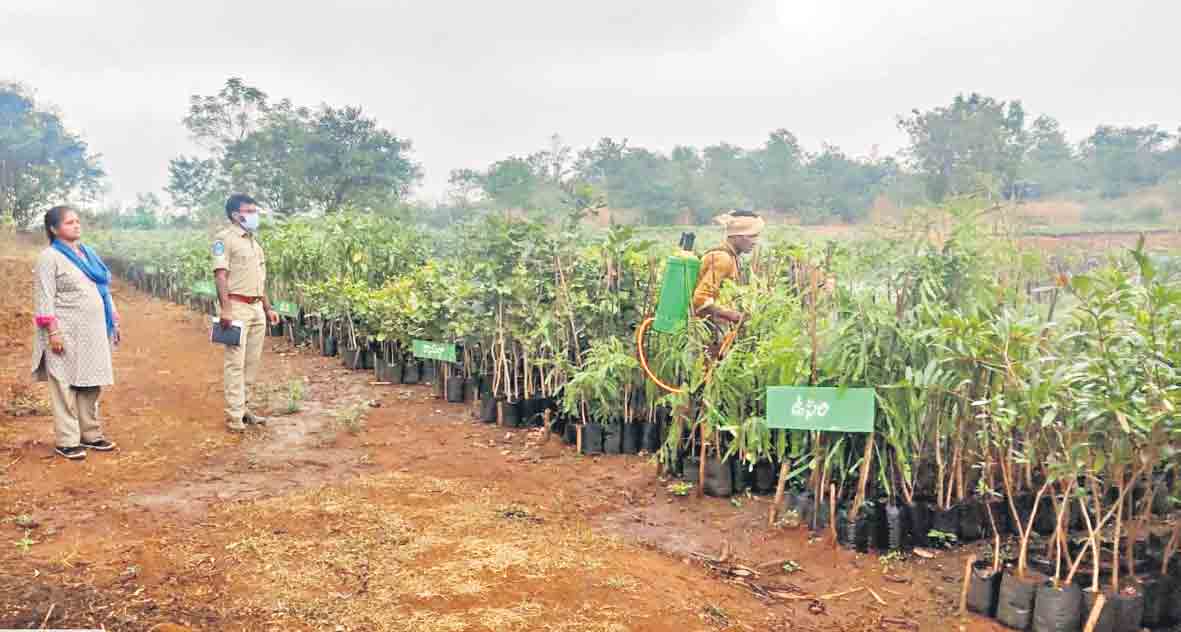 లక్ష్యం 96.12లక్షలు