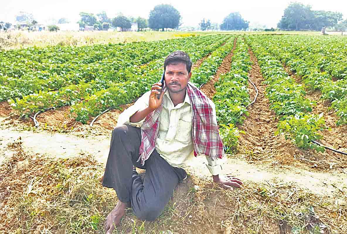 హలో సర్ ఏ పంటెయ్యాలె !