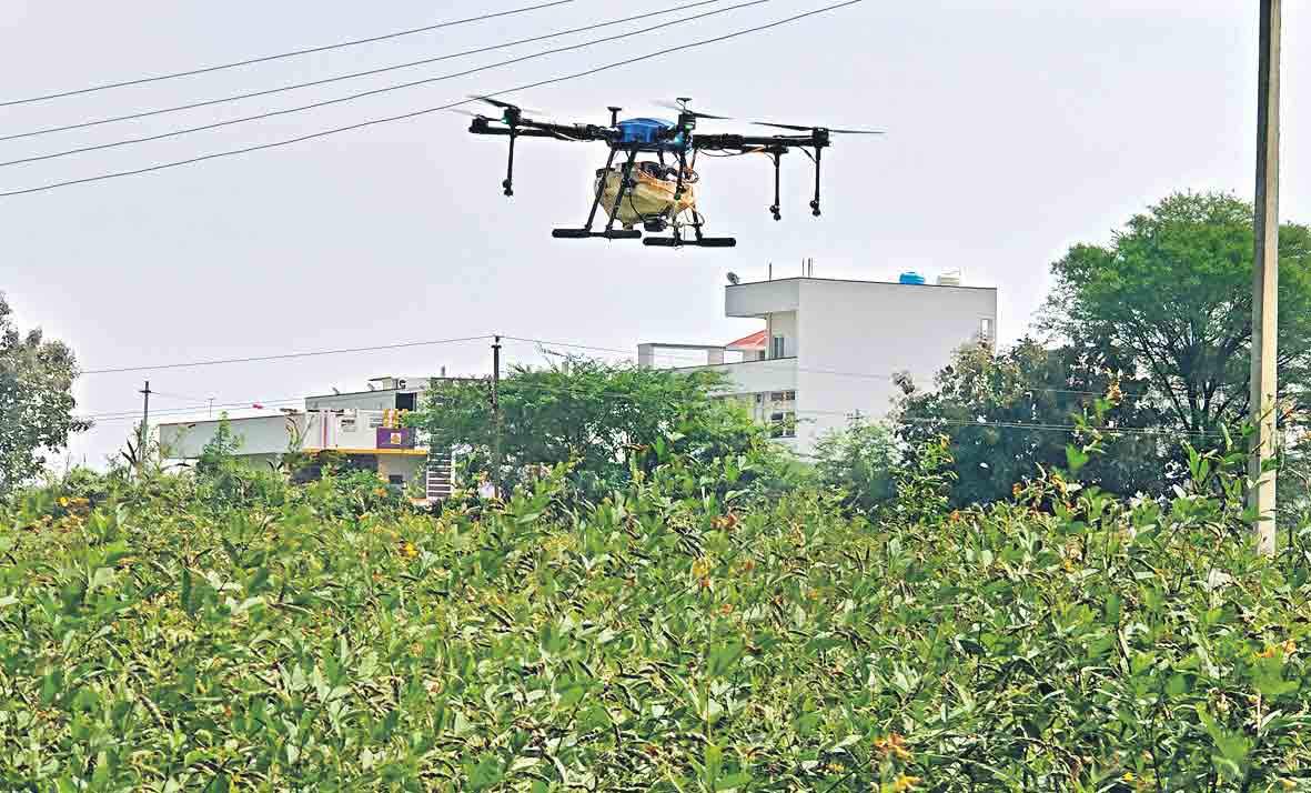 డ్రోన్‌ వ్యవసాయం