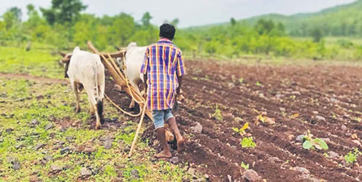 ‘పోడు’ కు హక్కులు..!