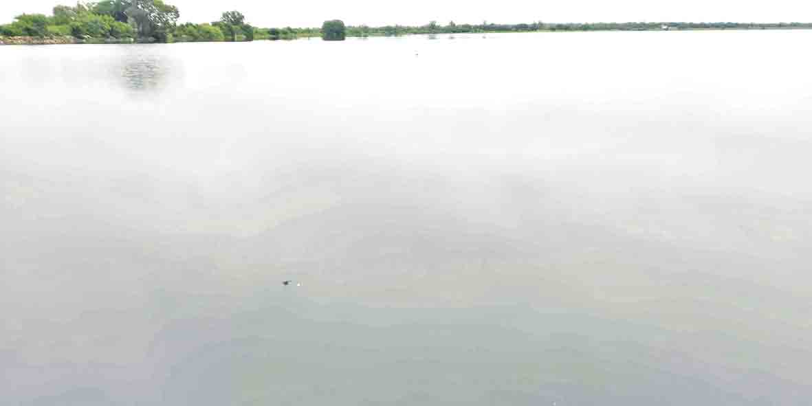 యాసంగి సాగుకు భరోసా