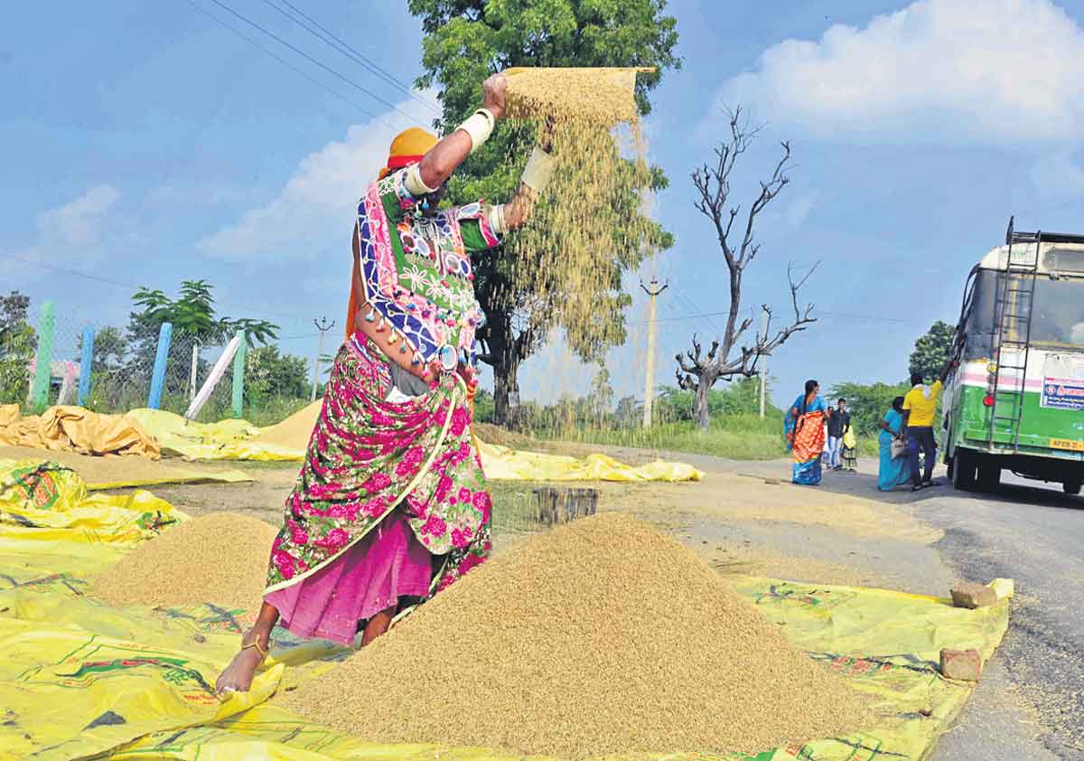 ప్రతి గింజకూ భరోసా..