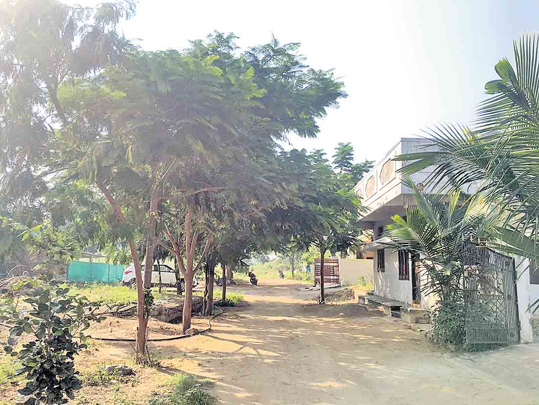 పచ్చదనం విరిసింది.. పుడమి మురిసింది..