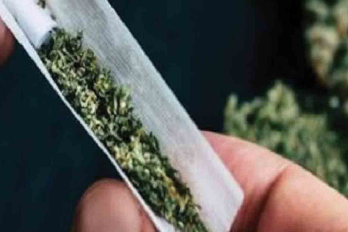 గంజాయి ముఠా..పట్టుబడిందిలా..